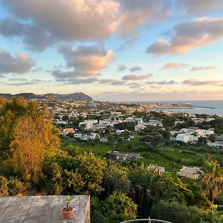 Bed & Breakfast Blu Panorama *
